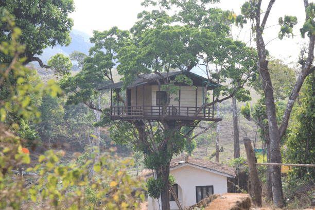 Thekkady
