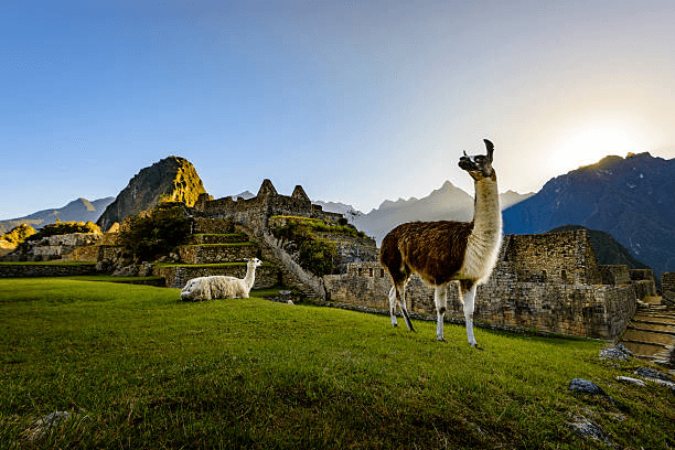 Machu Picchu, Peru