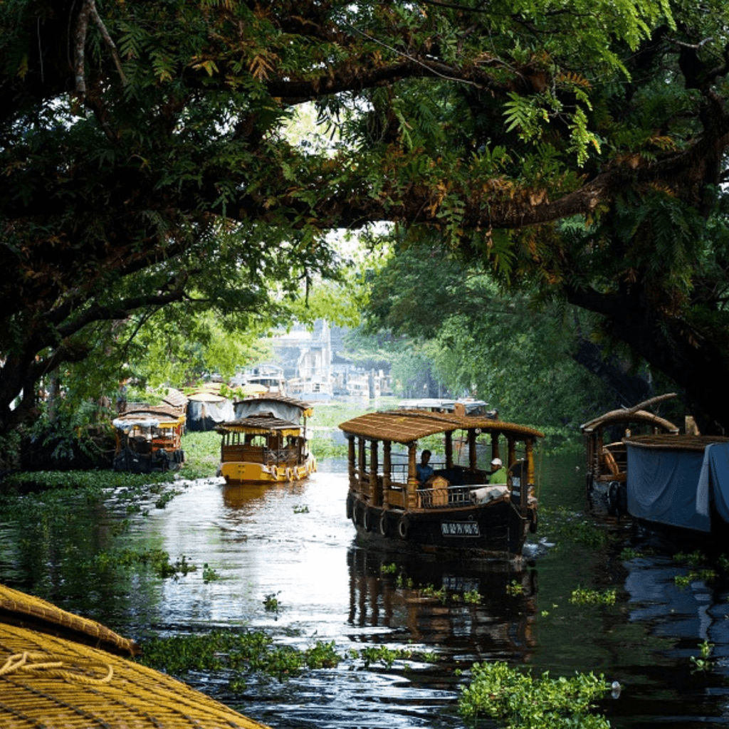 Munnar, Kerala