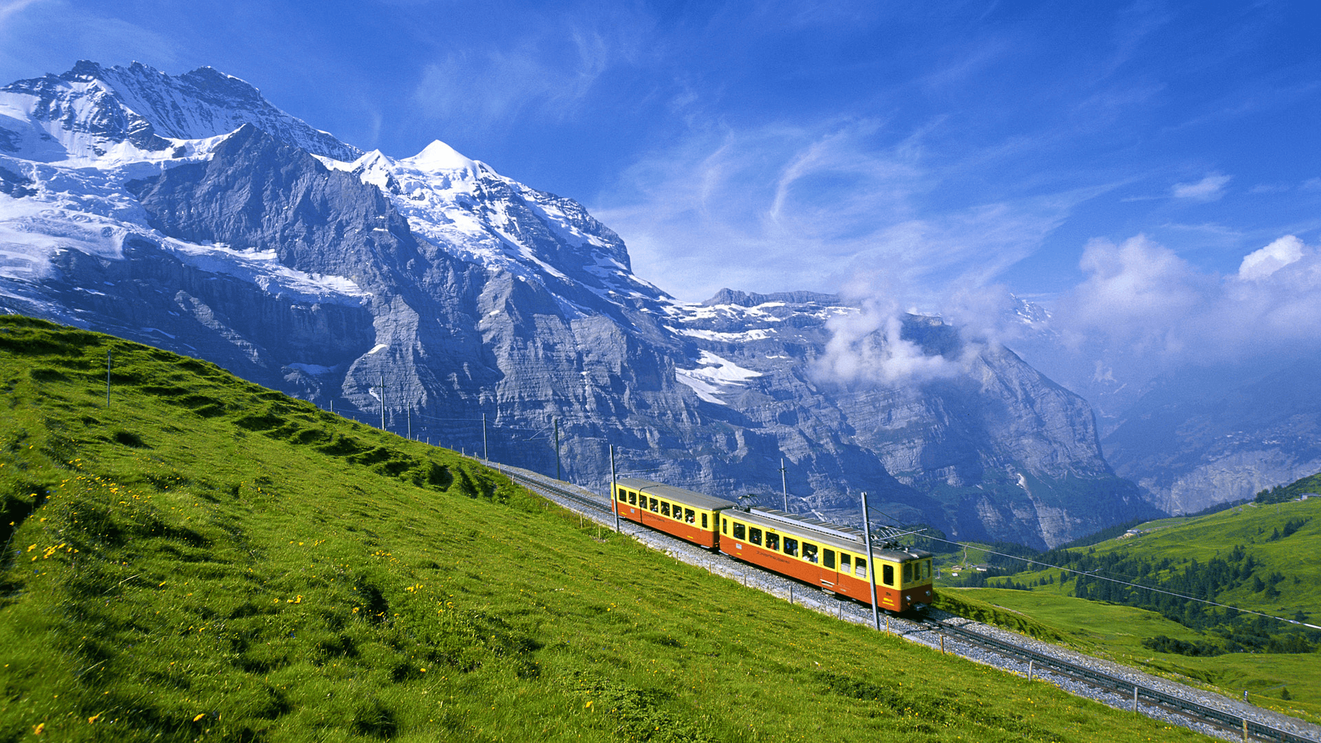 Darjeeling Himalayan Railway with cloudy tea gardens