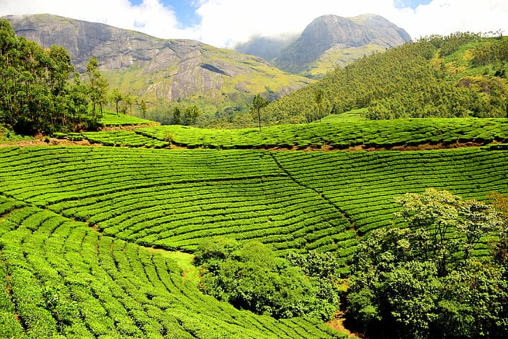 Romantic place to travel in August – Coorg, Karnataka