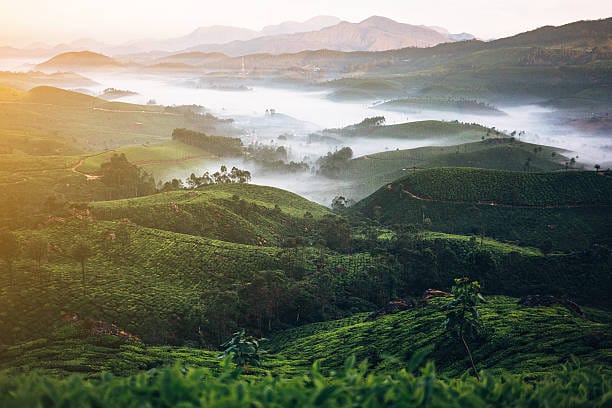 Best place to travel in August – Munnar, Kerala