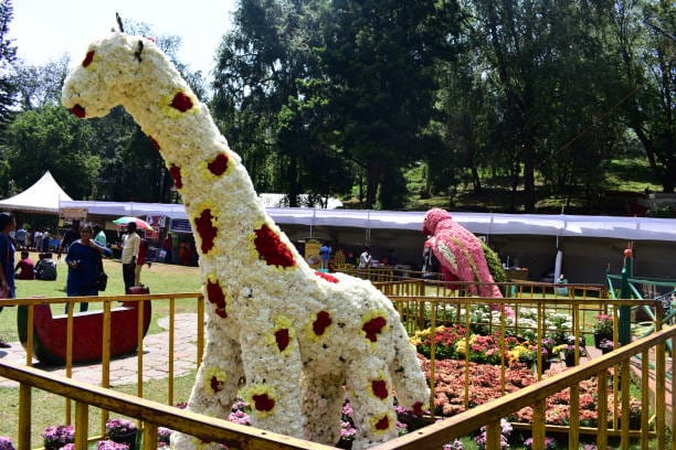 Romantic lake destination in August – Kodaikanal, Tamil Nadu