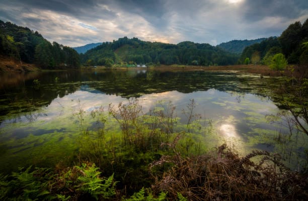 Offbeat travel destination in August – Ziro Valley, Arunachal Pradesh