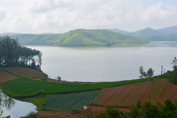 Emerald lake and mist in Yercaud hills