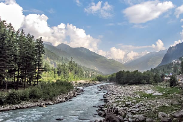 Foggy pine-covered hills and riverside views in Manali in August

